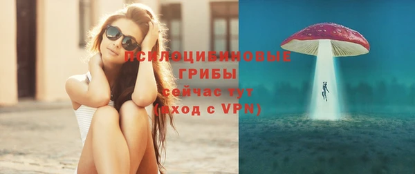 СК Алексин