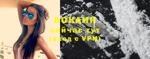 СК Алексин