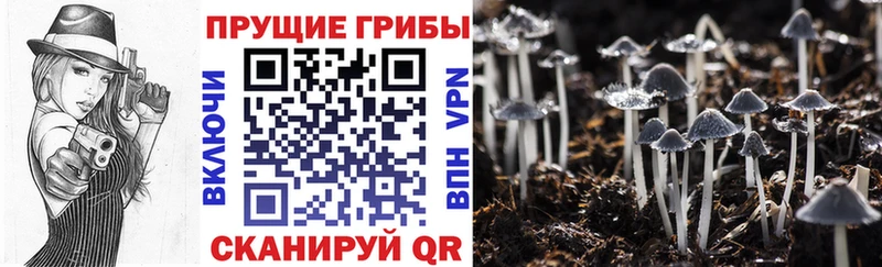 Псилоцибиновые грибы Magic Shrooms  omg зеркало  Гаврилов Посад 